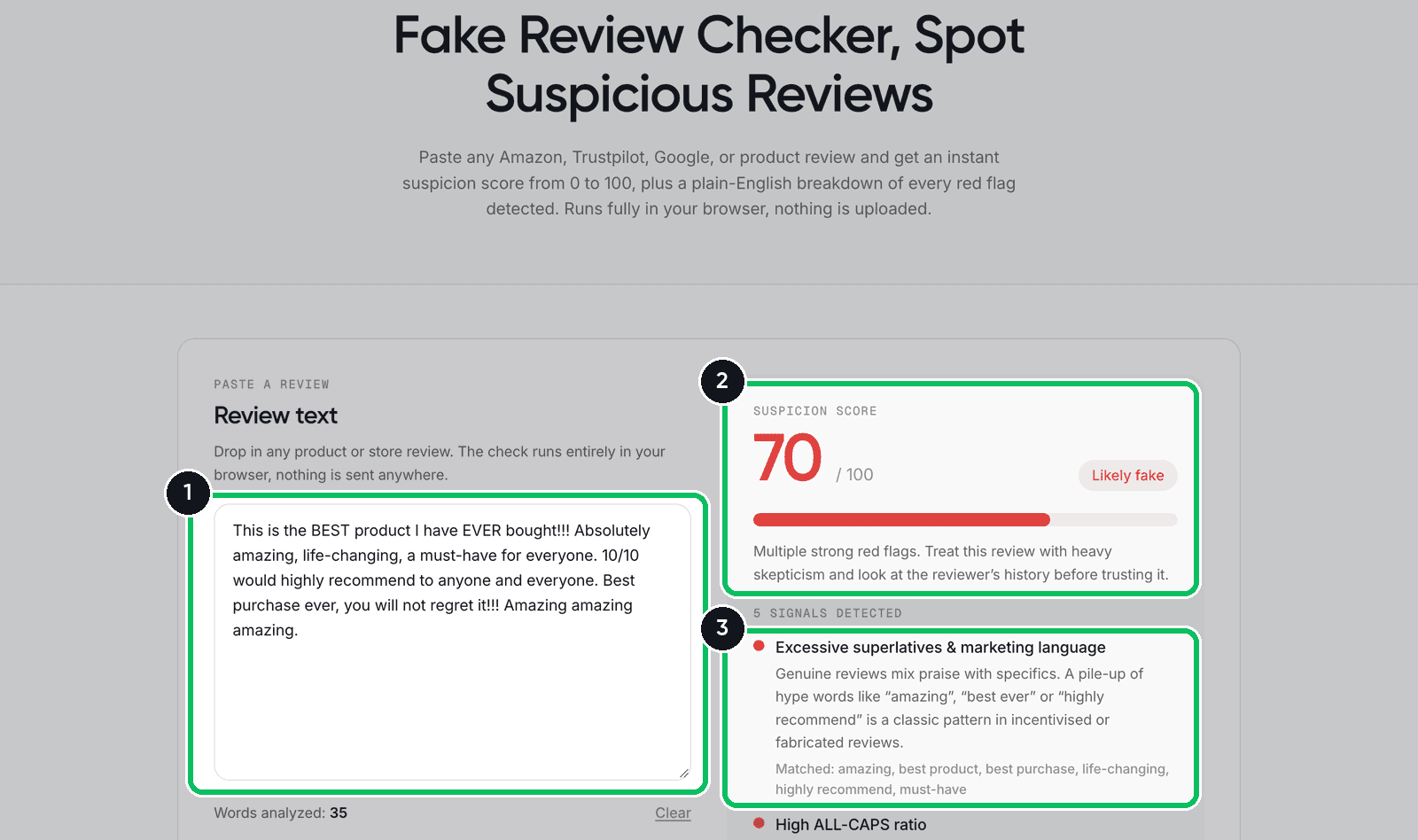 Reviewz fake review checker scoring a sample review 70 out of 100 and listing the red flags found